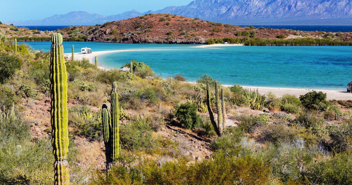 baja california sur desert and ocean