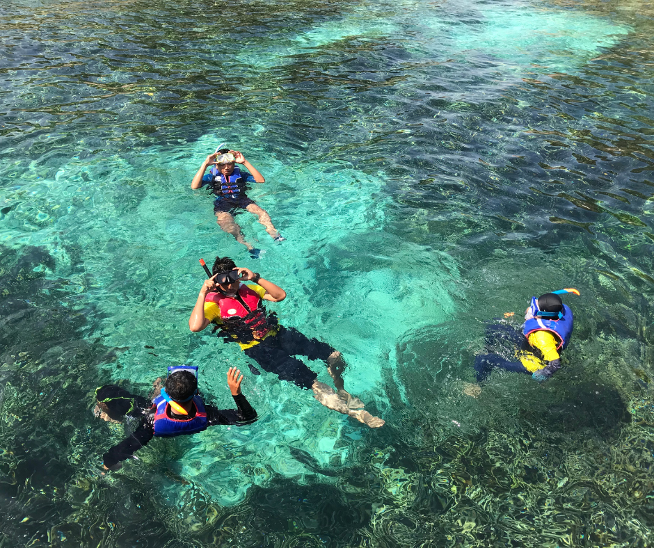 snorkeling with ventana travel