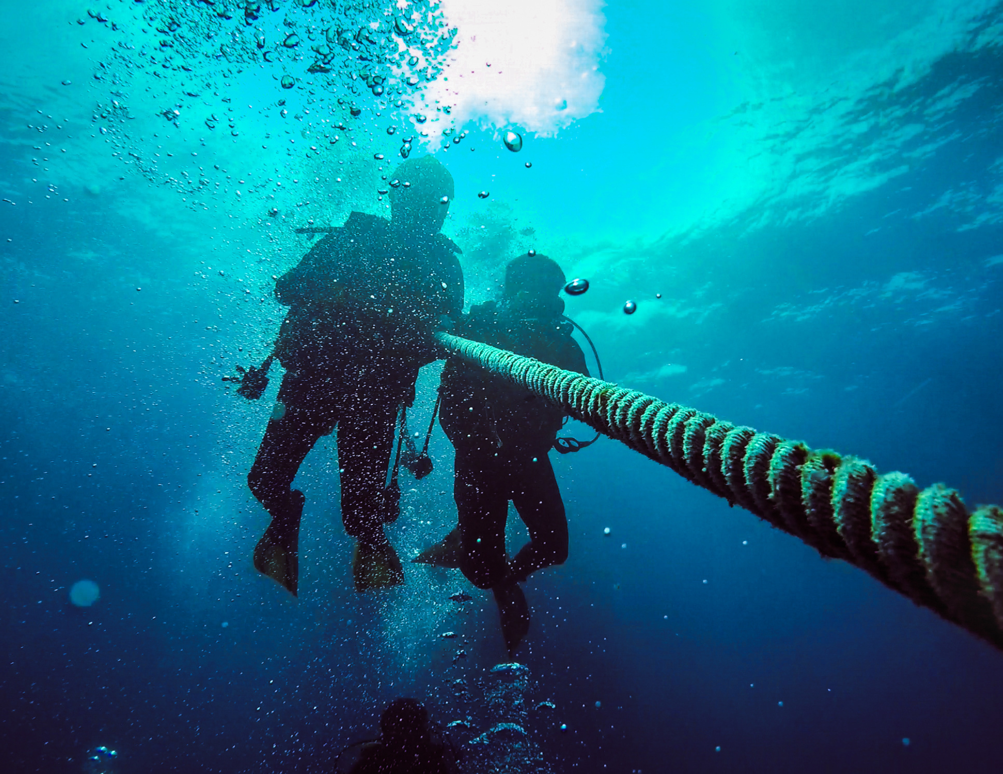 world record scuba dive