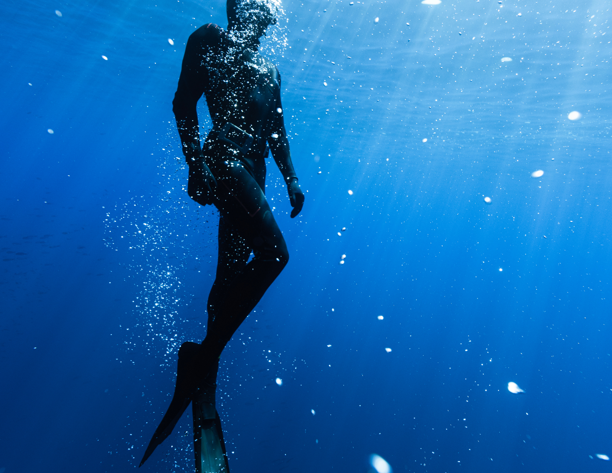 world record freedive