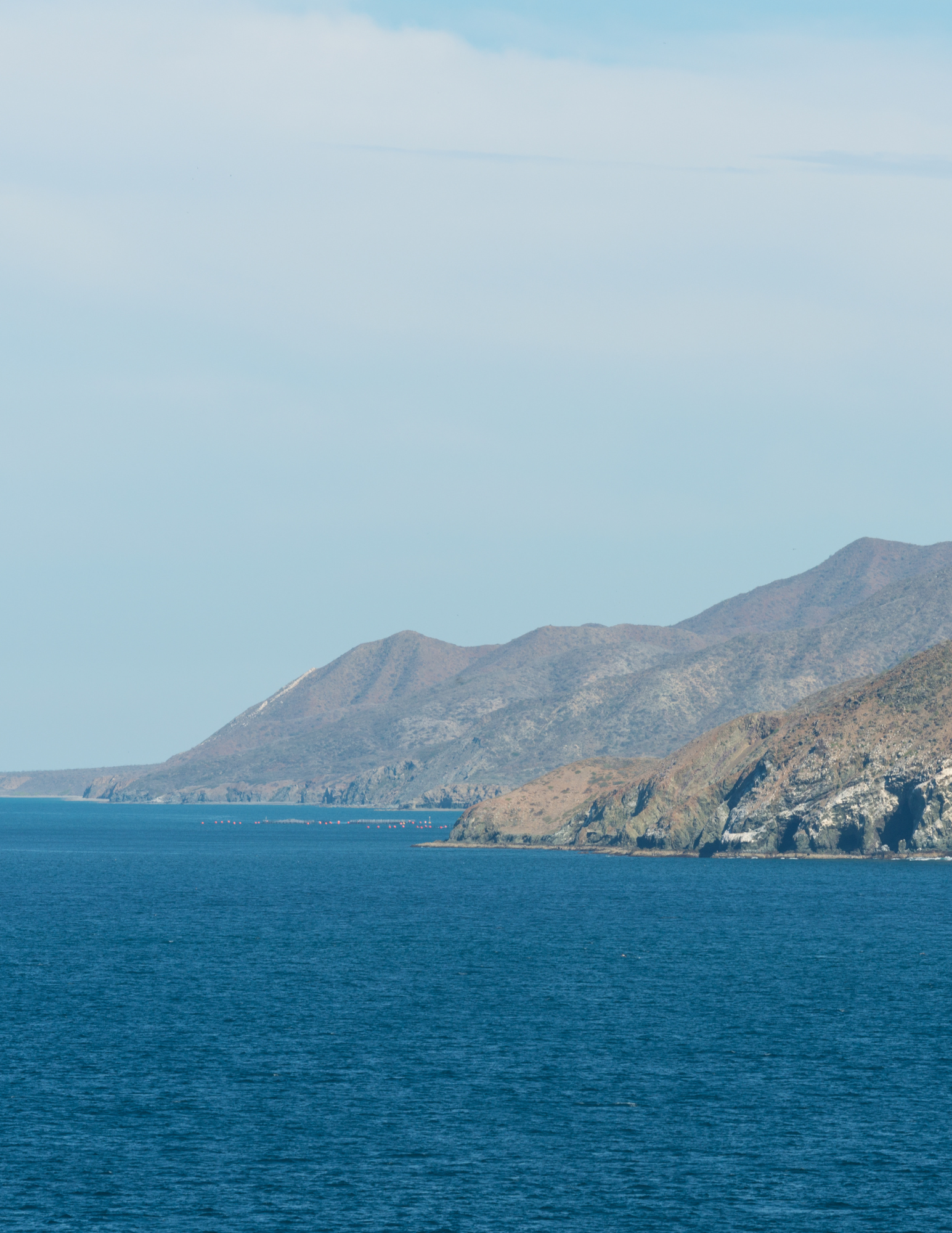 mag bay flyfishing tour