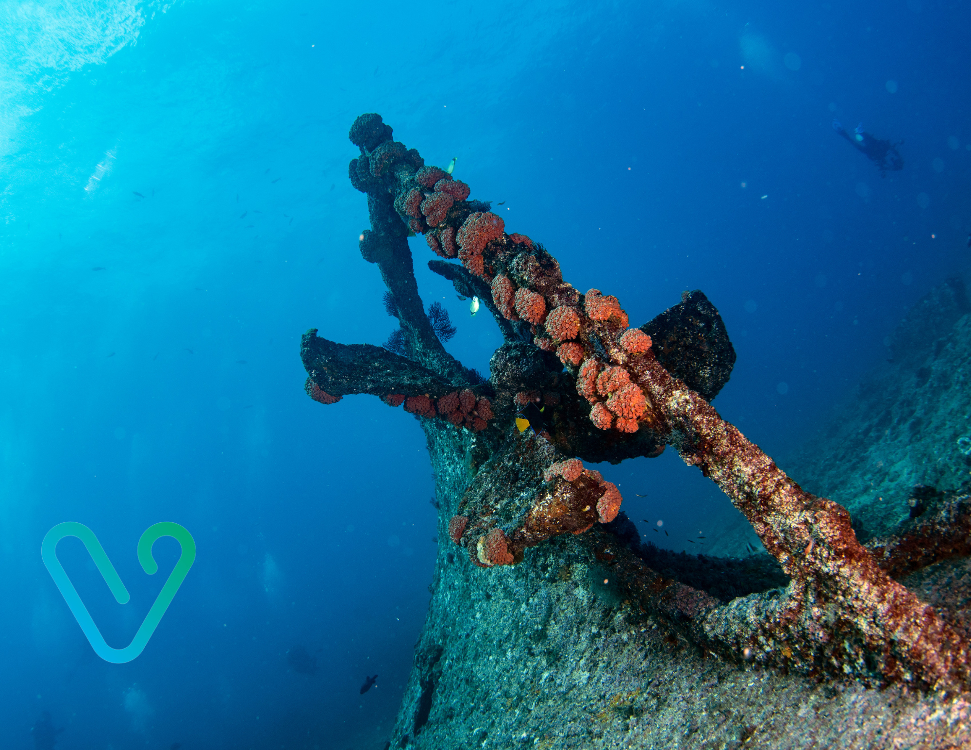 scuba shipwreck sea of cortez ventana travel