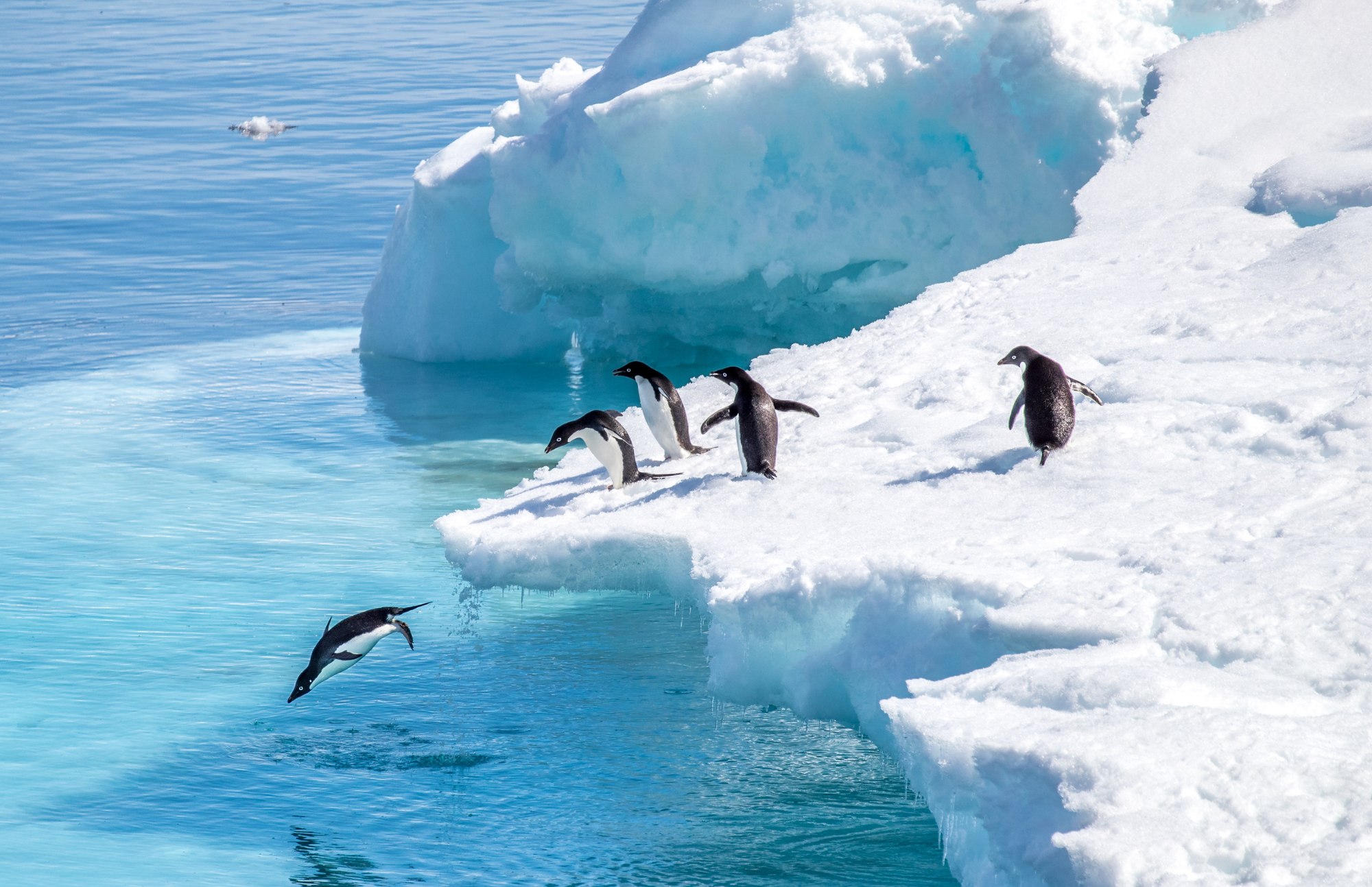 my trip to Antarctica small ships